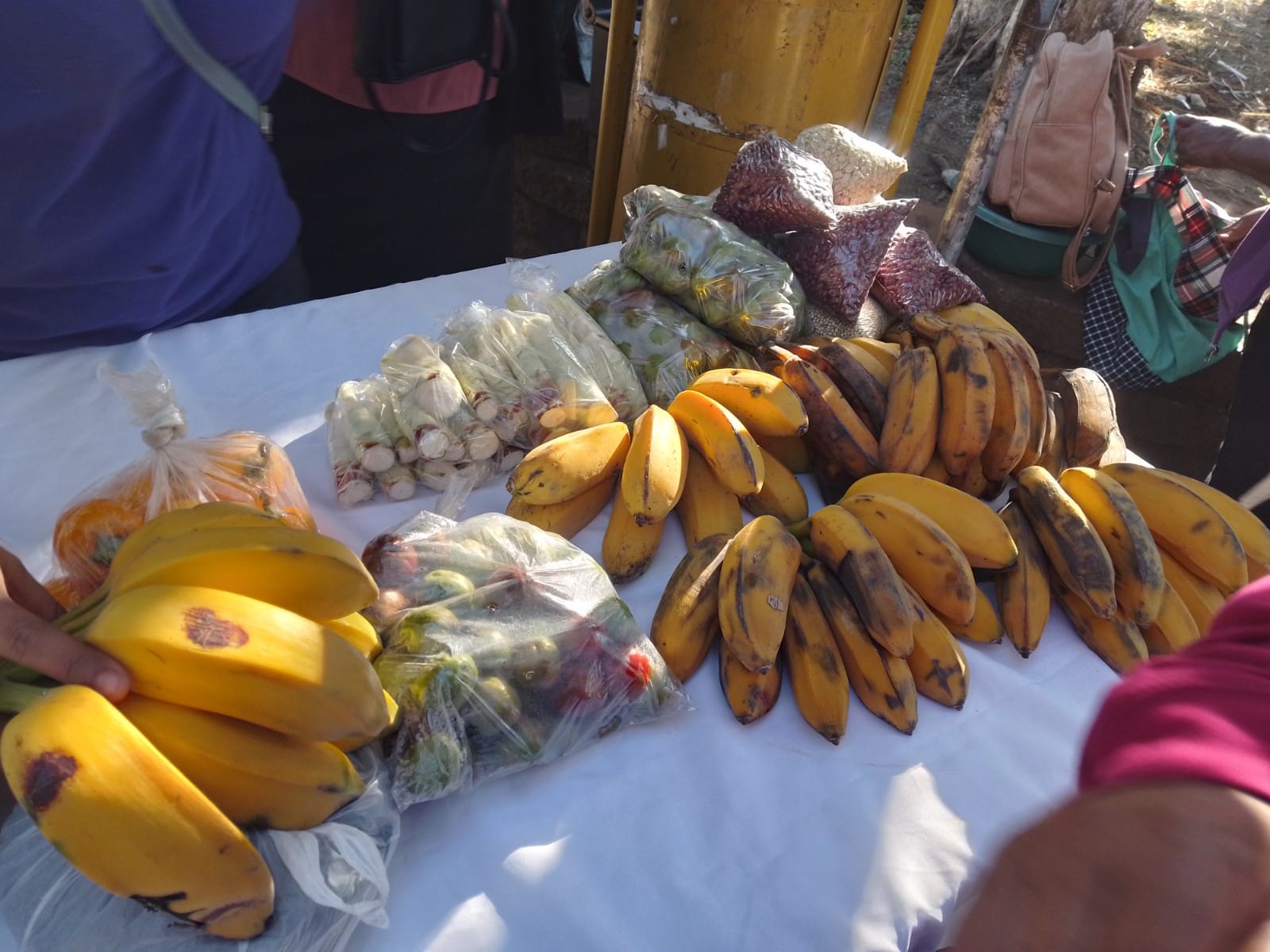 Mercadito Solidario Agroecológico 